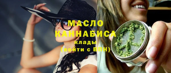 гашик Козельск