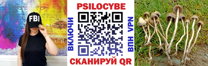 Галлюциногенные грибы мухоморы  Купить где  Окуловка 